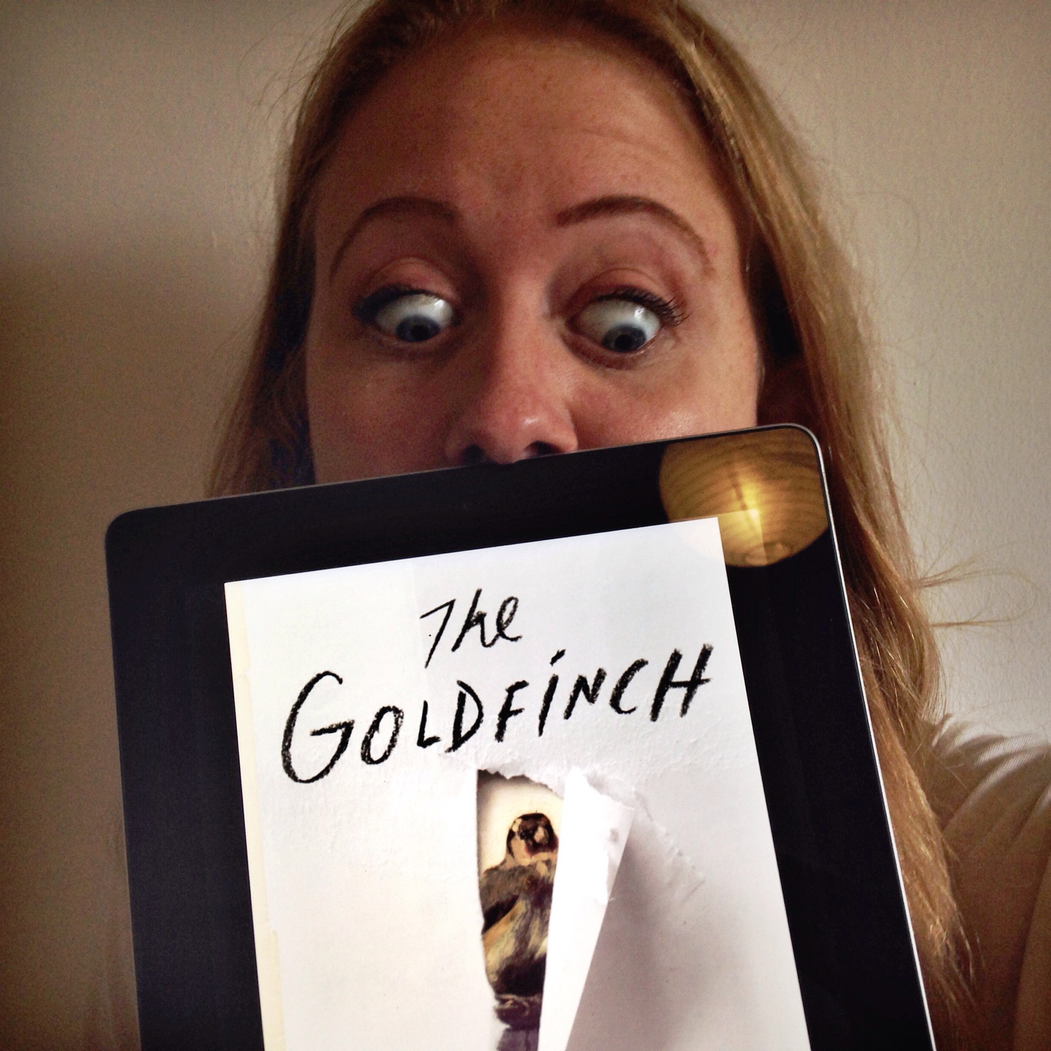 Book reviews of the goldfinch the painting